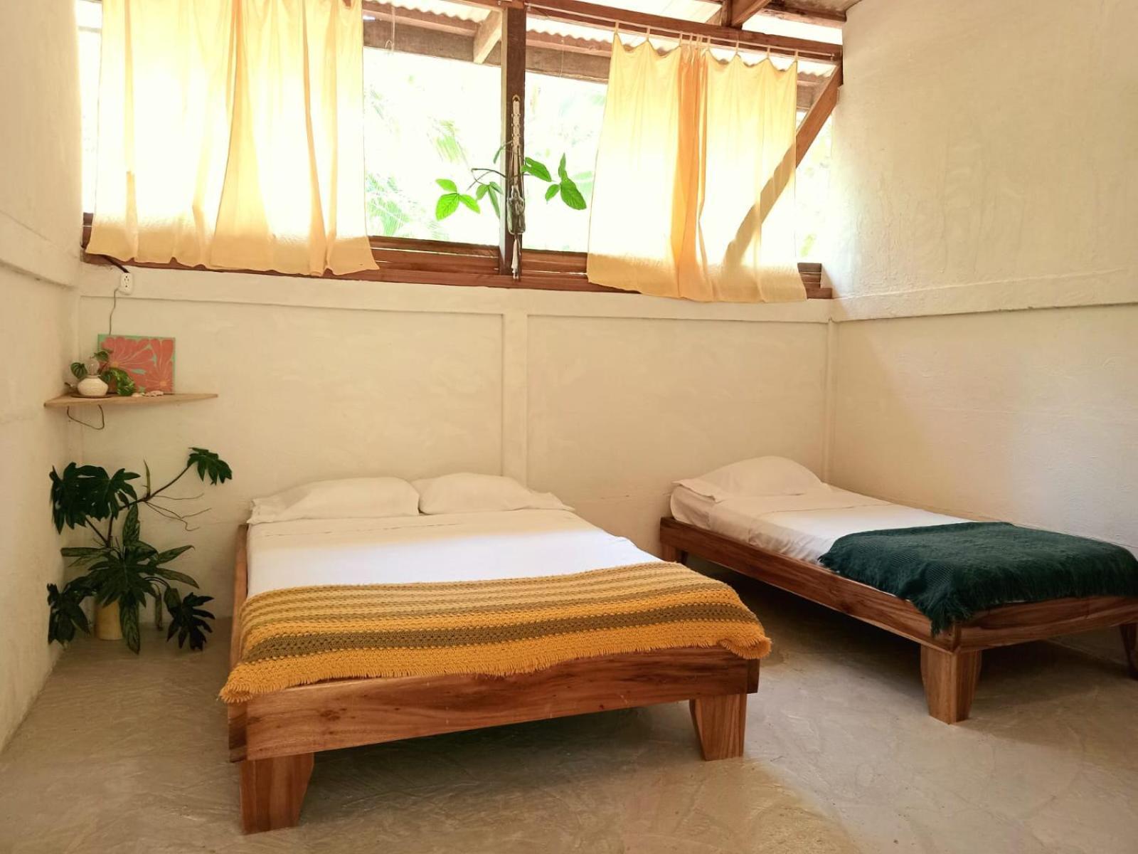 Smile Jungle Hostel Puerto Viejo de Talamanca Oda fotoğraf