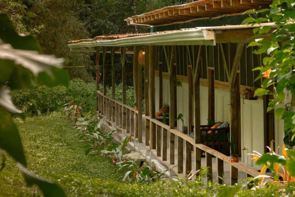 Smile Jungle Hostel Puerto Viejo de Talamanca Dış mekan fotoğraf